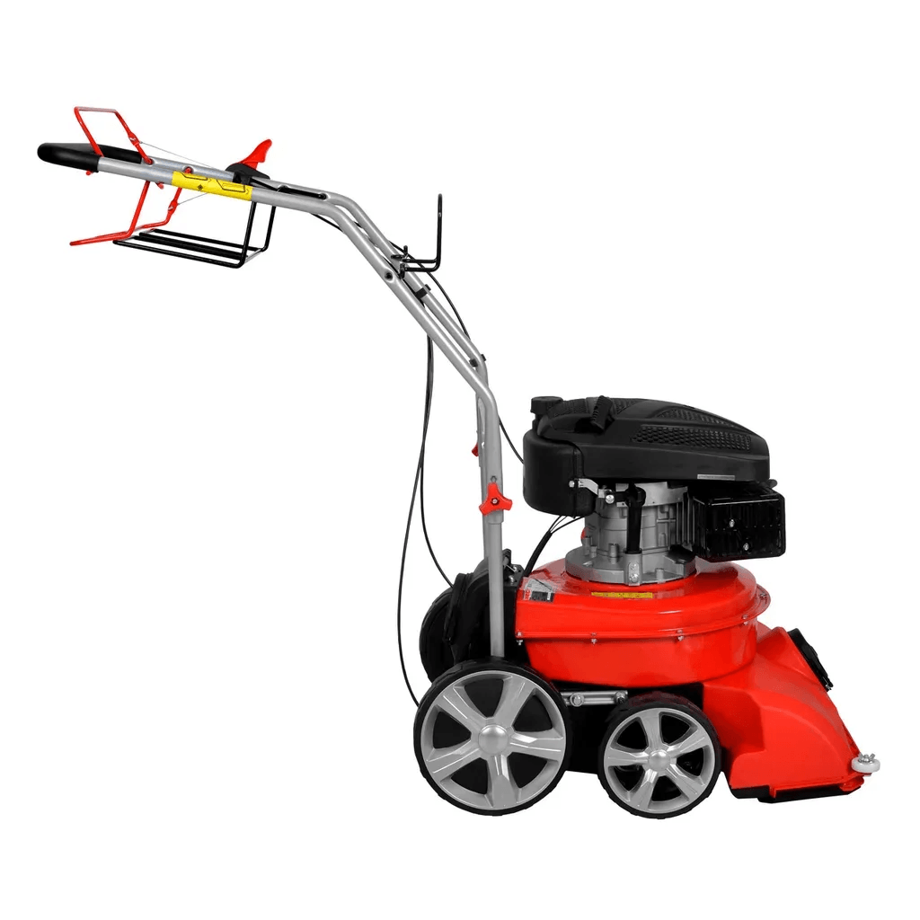 24905